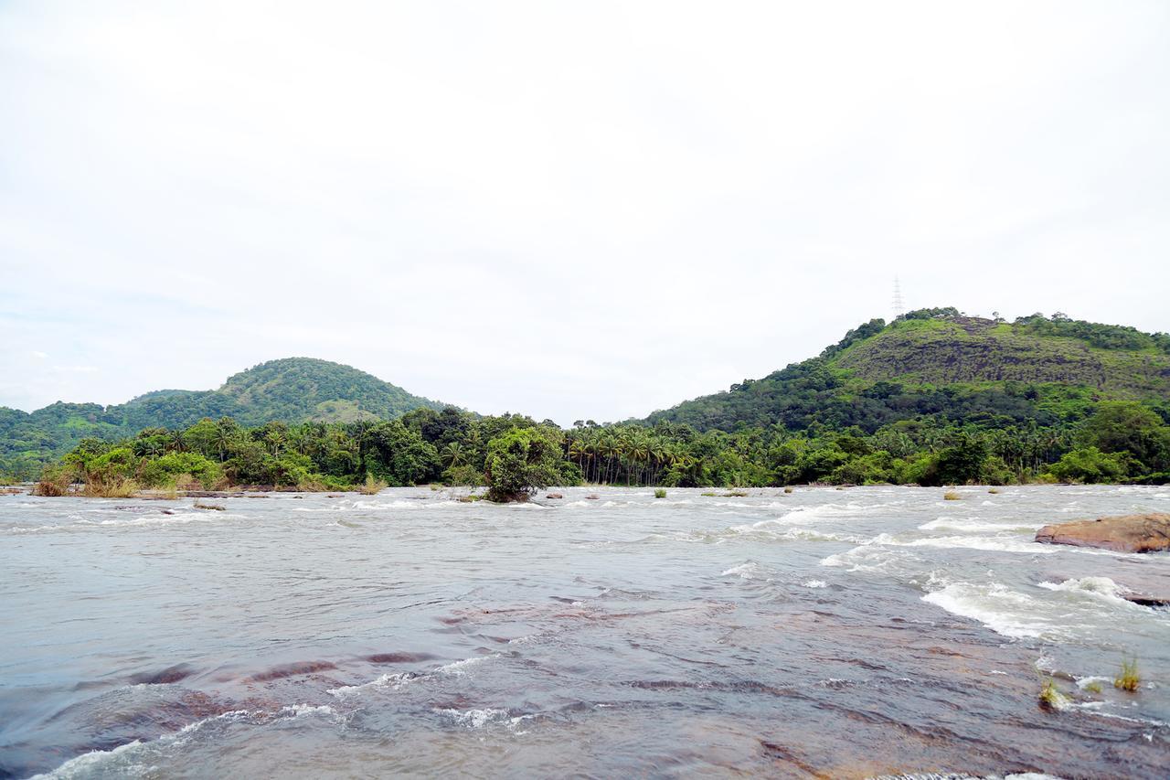 Athirapilly River Resort Athirappilly Luaran gambar
